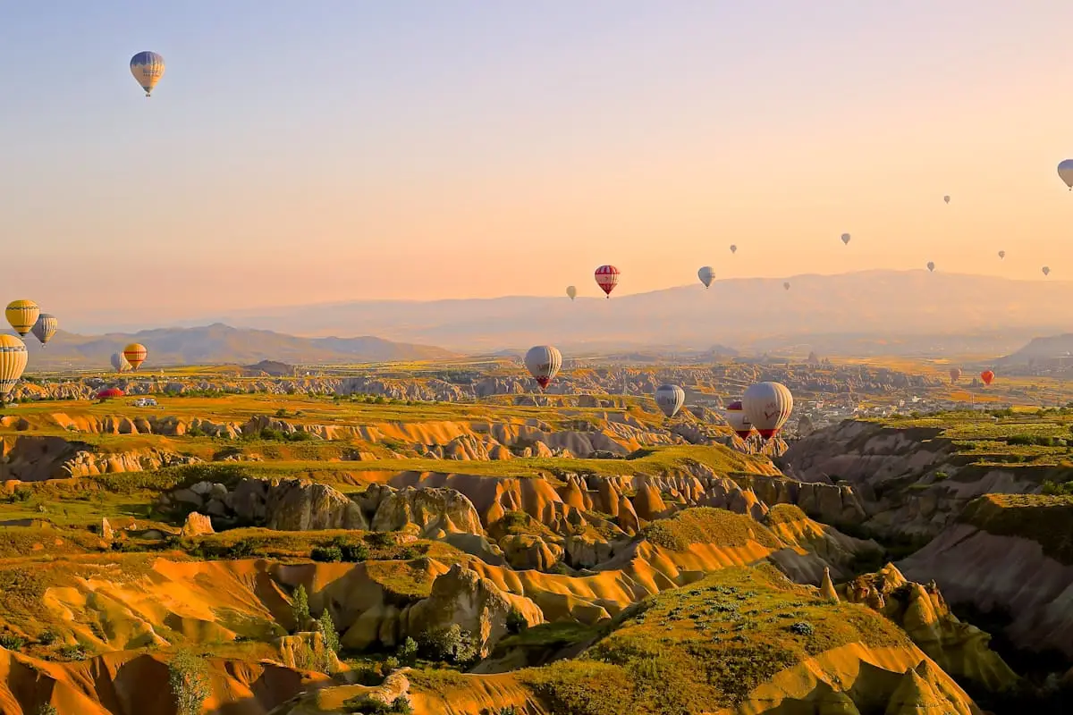 Scenic New Zealand countryside at sunrise