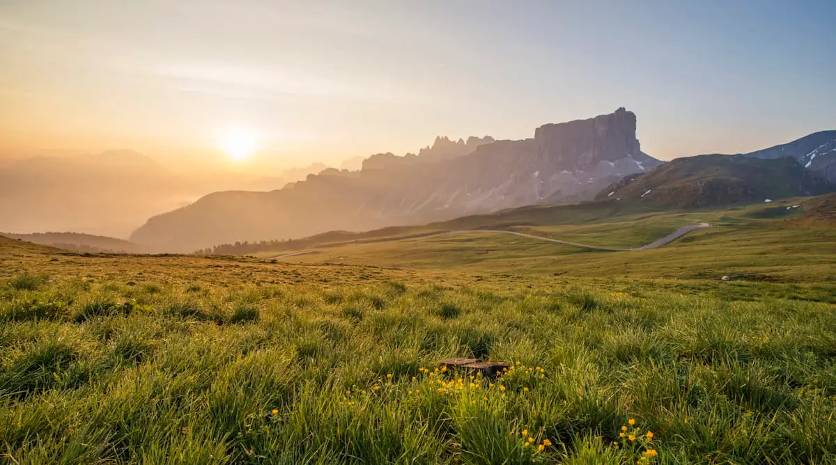 Open New Zealand grassland landscape