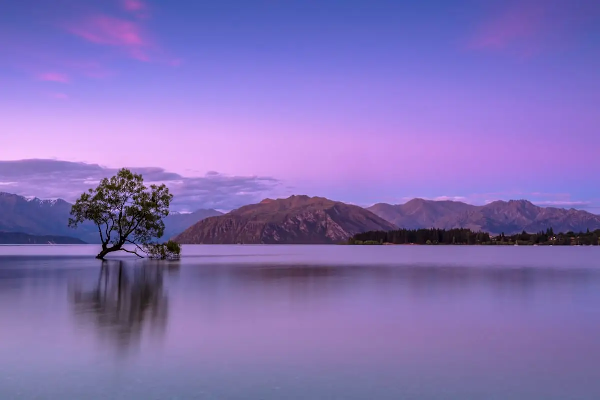Lake tree beneath a purple sky