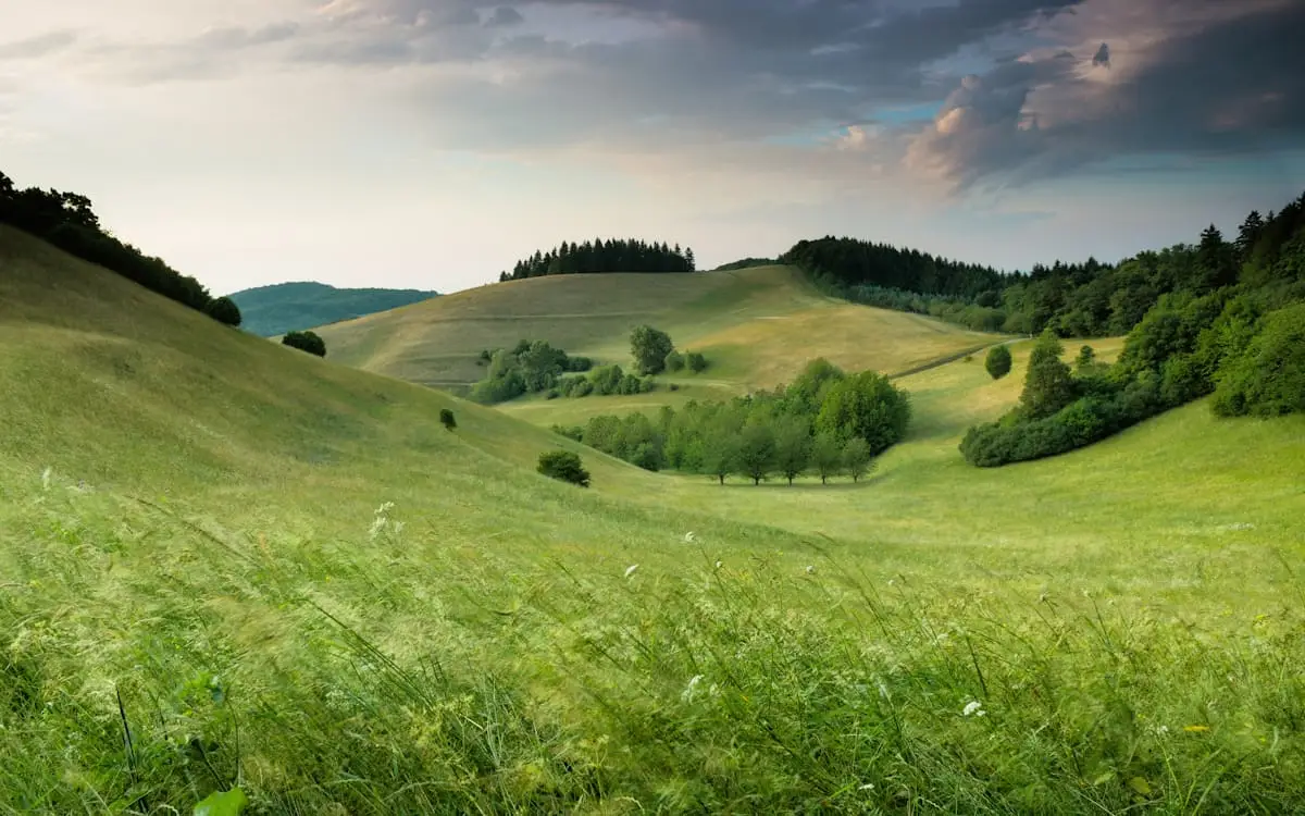 Open green hills and walking landscape