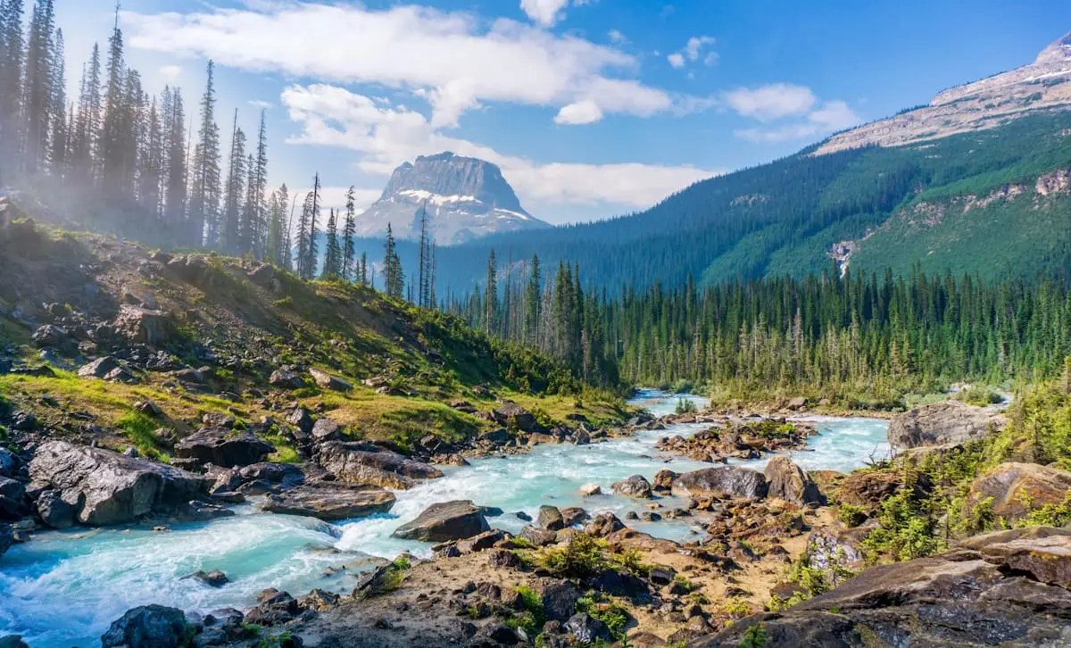Mountain stream and alpine trail