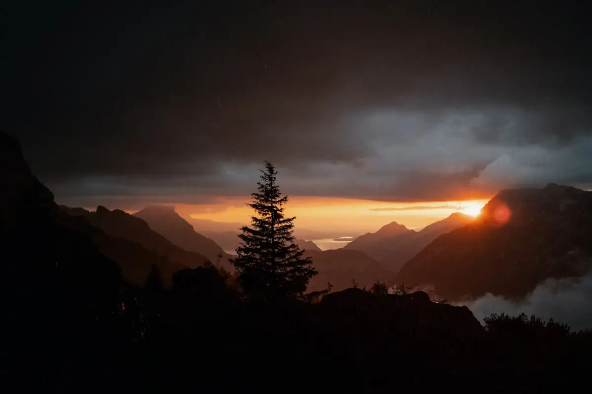 Mountain sunset behind dark forest